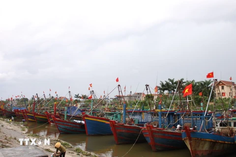 Các tàu cá tại cảng cá Tân Sơn (huyện Thái Thụy, Thái Bình) neo đậu an toàn. (Ảnh: Thu Hoài/TTXVN)