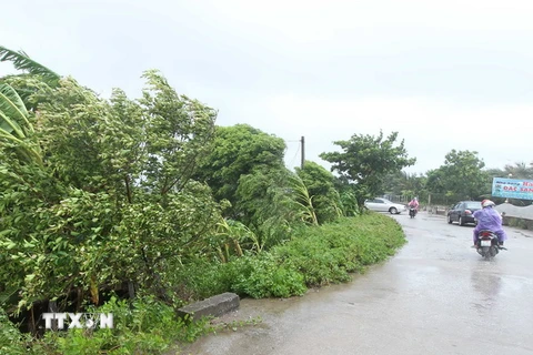 Mưa to kèm gió mạnh tại ven biển huyện Tiền Hải. (Ảnh: Quốc Khánh/TTXVN)