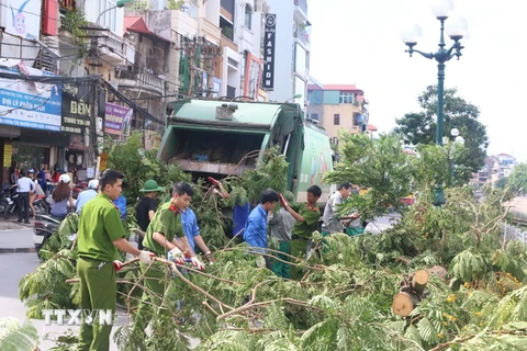 Công an thành phố Hà Nội tham gia dọn cành, lá cây sau bão. (Ảnh: Mạnh Khánh/TTXVN)