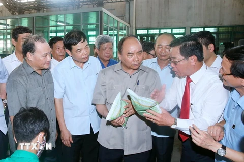 Thủ tướng Nguyễn Xuân Phúc khảo sát thực tế mô hình tái cơ cấu ngành nông nghiệp tại Tổng Công ty giống cây trồng Thái Bình tại thành phố Thái Bình. (Ảnh: Thống Nhất/TTXVN)