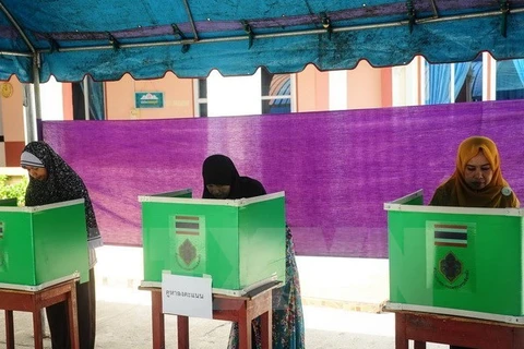 Cử tri Thái Lan tại một điểm bầu cử ở Narathiwat ngày 7/8. (Ảnh: AFP/TTXVN)