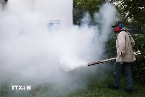 Phun thuốc diệt muỗi - vật trung gian truyền virus Zika tại Bãi biển Miami, bang Florida ngày 24/8. (Nguồn: AFP/TTXVN)