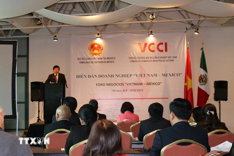 Diễn đàn doanh nghiệp Việt Nam-Mexico. (Ảnh: Việt Hòa/TTXVN)