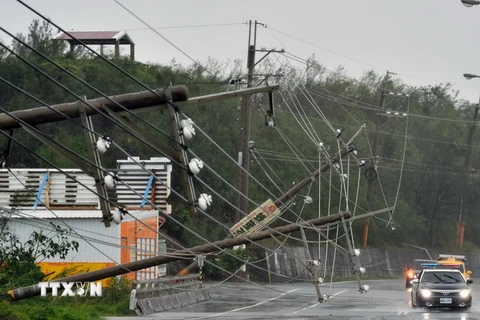 Nhiều cột điện bị quật đổ khi cơn bão Meranti quét qua vùng lãnh thổ Đài Loan ngày 14/9. (Nguồn: AFP/TTXVN)