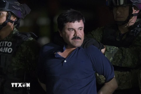 Cảnh sát áp giải trùm ma túy Joaquin "El Chapo" Guzman Loera tại Mexico City ngày 8/1. (Nguồn: THX/TTXVN)