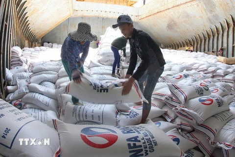 Hoạt động bốc xếp gạo xuất khẩu của Tổng công ty tại cảng Sài Gòn. (Ảnh: Đình Huệ/TTXVN)