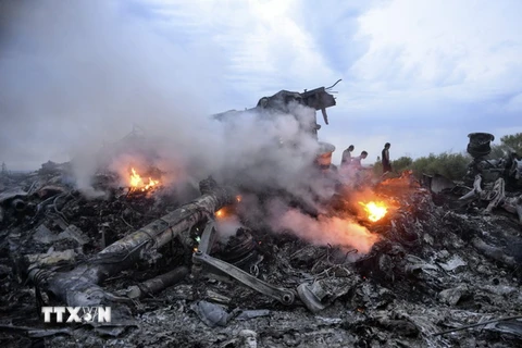 Hiện trường vụ rơi máy bay MH17 ở gần Donetsk, Ukraine ngày 17/7/2014. (Nguồn: EPA/TTXVN)