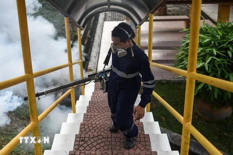 Nhân viên phun thuốc diệt muỗi nhằm ngăn chặn sự lây lan của virus Zika tại Kuala Lumpur. (Nguồn: EPA/TTXVN)