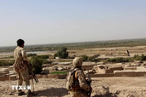 Binh sỹ Afghanistan trong chiến dịch quân sự truy quét phiến quân Taliban tại Helmand ngày 4/10. (Nguồn: AFP/TTXVN)