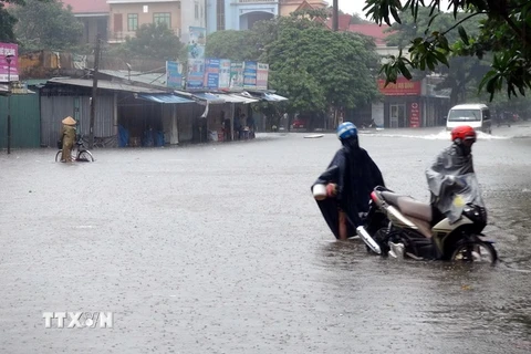 Ngập lụt nghiêm trọng trên trục đường Tuệ Tĩnh, thành phố Vinh (Ảnh chụp lúc 8 giờ sáng 15/10). (Ảnh: Tá Chuyên/TTXVN)
