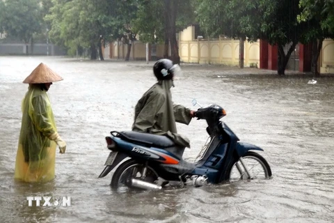 Ngập lụt nghiêm trọng khiến nhiều xe máy khi lưu thông trên đường Duy Tân, thành phố Vinh bị chết máy (Ảnh chụp lúc 8 giờ sáng 15/10). (Ảnh: Tá Chuyên/TTXVN)