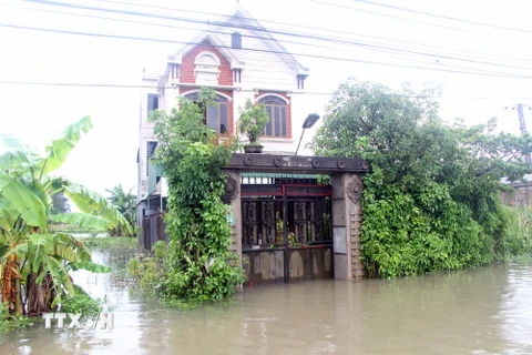 Ảnh (chụp lúc 9 giờ 30 ngày 15/10): Nhiều tuyến đường và nhà dân tại khối 9, phường Quán Bàu, thành phố Vinh ngập sâu trong biển nước. (Ảnh: Bích Huệ/TTXVN)