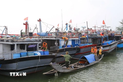 Lực lượng công an huyện Phú Vang, Thừa Thiên-Huế kiểm tra, hướng dẫn và giúp đỡ ngư dân đưa tàu thuyền vào neo đậu tránh trú bão số 7 tại xã Phú Thuận. (Ảnh: Hồ Cầu/TTXVN)
