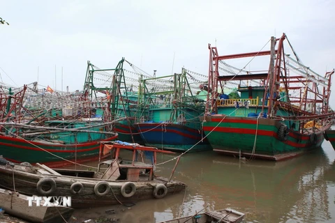 Tàu, thuyền về neo đậu tại cảng cá Mắt Rồng, xã Lập Lễ, huyện Thủy Nguyên, Hải Phòng. (Ảnh: Lâm Khánh/TTXVN)