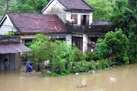 Hàng nghìn nhà dân ở huyện Tuy An và Đồng Xuân bị ngập. (Ảnh: Thế Lập/Vietnam+)