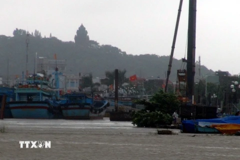 Các phương tiện cơ giới khắc phục hậu quả mưa lũ vùi lấp nhà dân tại thôn Nhơn Sơn, xã Ân Nghĩa, huyện Hoài Ân, Bình Định. (Ảnh: Trần Lê Lâm/TTXVN)