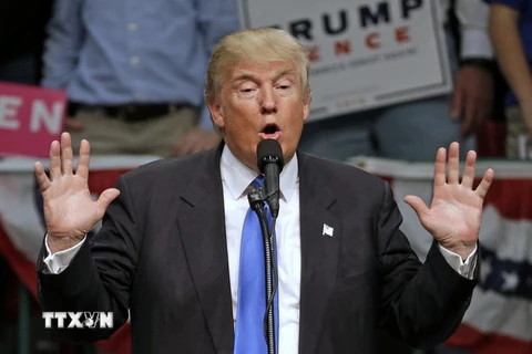 Ông Donald Trump trong chiến dịch vận động tranh cử ở Concord ngày 3/11. (Nguồn: AP/TTXVN)