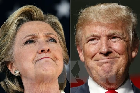 Bà Hillary Clinton (trái) và ông Donald Trump (phải). (Nguồn: AFP/TTXVN)