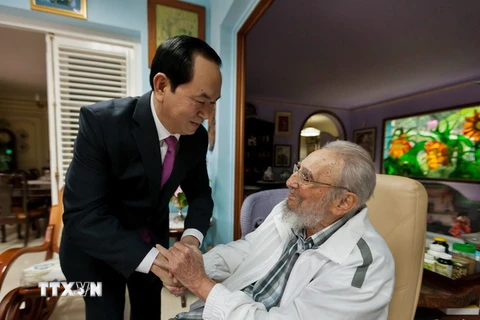 Chủ tịch nước Trần Đại Quang hội kiến Lãnh tụ cách mạng Cuba Fidel Castro. (Ảnh: EPA/TTXVN)