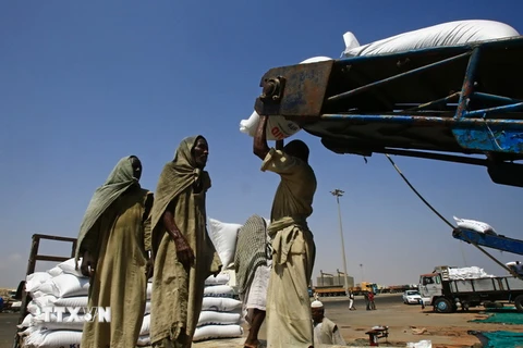 Công nhân chuyển lương thực cứu trợ từ Chương trình Lương thực Thế giới tại Cảng Sudan ngày 17/10. (Nguồn: AFP/TTXVN)