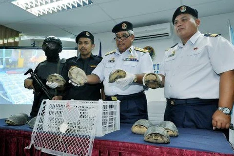 Đô đốc Adam Aziz (giữa) tại buổi họp báo về số rùa bị bắt (Nguồn: Nst.com.my)