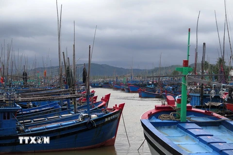 Hàng ngàn tàu thuyền đã vào âu thuyền Tam Quan Bắc, huyện Hoài Nhơn, Bình Định để tránh trú áp thấp nhiệt đới. (Ảnh: Viết Ý/TTXVN)