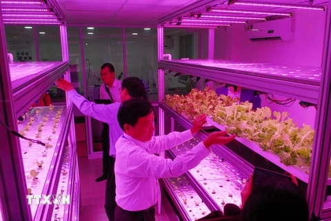 Phòng thí nghiệm sử dụng chiếu sáng LED cho nuôi hoa màu, hoa quả tại trung tâm. (Ảnh: Mạnh Linh/TTXVN)