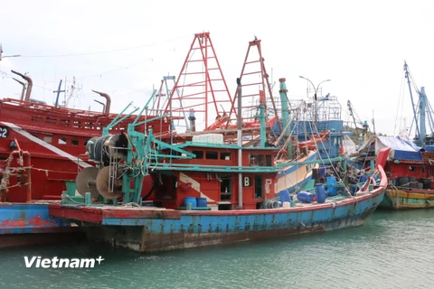 Tàu thuyền Việt Nam vi phạm vùng biển Indonesia đang bị giữ tại đảo Batam. (Ảnh: Đỗ Quyên/Vietnam+)