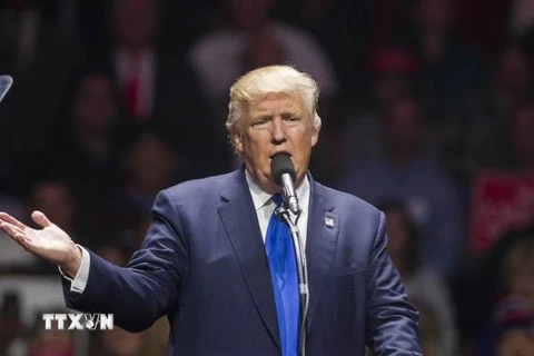 Ông Donald Trump trong cuộc vận động tranh cử tại bang New Hampshire ngày 7/11/2016. (Nguồn: AFP/TTXVN)