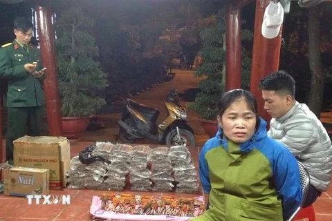 Nguyễn Thị Thúy bị cơ quan điều tra bắt giữ. (Ảnh: Trung Nguyên/TTXVN)
