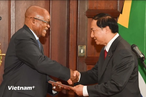 Đại sứ Việt Nam tại Cộng hòa Nam Phi Vũ Văn Dũng trình quốc thư lên Ngài Tổng thống Nam Phi Jacob Zuma. (Ảnh: Dư Hưng/Vietnam+)