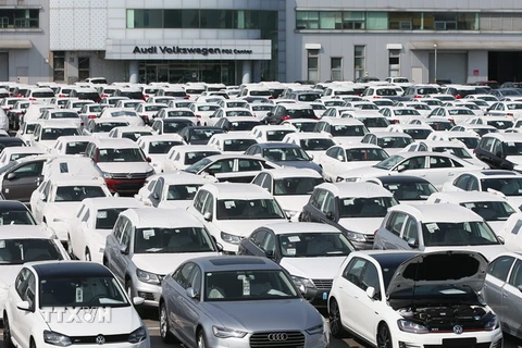 Ôtô của Hãng Volkswagen tại trung tâm kiểm duyệt của Audi Volkswagen Korea ở Pyeongtaek, cách thủ đô Seoul 70km về phía nam. (Nguồn: EPA/TTXVN)