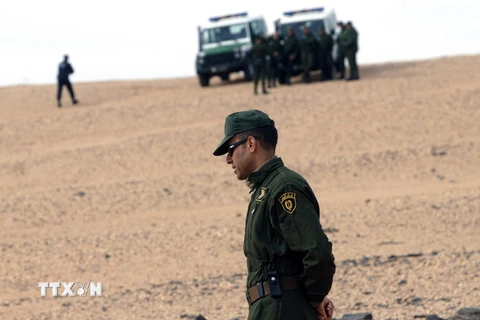 Lực lượng an ninh Algeria tuần tra tại làng sa mạc Sahara ở In-Salah, miền nam Algeria. (Nguồn: AFP/TTXVN)