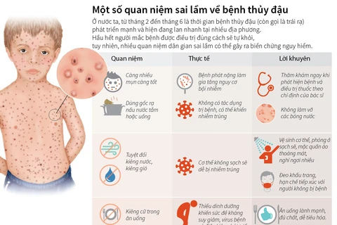 [Infographics] Một số quan niệm sai lầm về bệnh thủy đậu