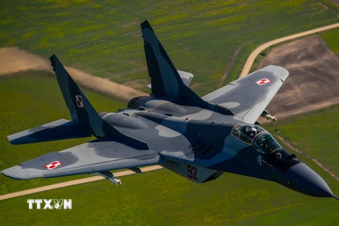 Máy bay MiG-29 của Không lực Ba Lan trình diễn tại căn cứ không quân Siauliai ở Litva ngày 15/5/2014. (Nguồn: EPA/TTXVN)