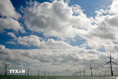 Toàn cảnh trang trại điện gió trên biển ở đông nam nước Anh. (Nguồn: AFP/TTXVN)