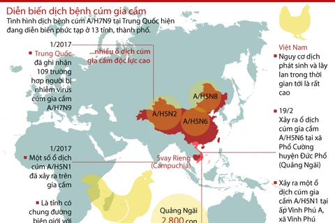 [Infographics] Dịch cúm gia cầm đang diễn biến phức tạp