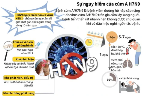 [Infographics] Sự nguy hiểm của virus cúm gia cầm A/H7N9