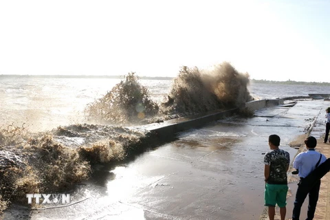 Sóng biển uy hiếp, nguy cơ vỡ kè đê biển Gành Hào rất cao. (Ảnh: Huỳnh Sử/TTXVN)