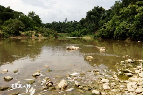 Cá chết nổi trắng sông Âm đoạn qua xã Giao An, huyện Lang Chánh, Thanh Hóa tháng 7/2016. (Ảnh: Hoa Mai/TTXVN)