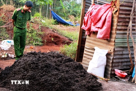 Hiện trường cơ sở pha trộn tạp chất vào hạt tiêu. (Ảnh: Chí Tưởng/TTXVN)