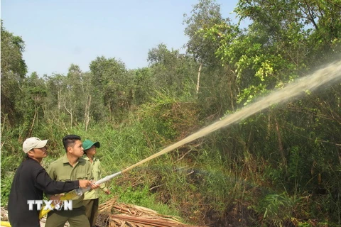 Diễn tập chữa cháy Vườn quốc gia U Minh Hạ (Cà Mau). (Ảnh: Tràng Dương/TTXVN)