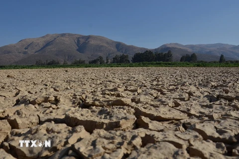 Hồ La Angostura, cách Cochabamba, miền trung Bolivia khoảng 14km bị cạn khô nước do nắng nóng kéo dài. (Nguồn: AFP/TTXVN)