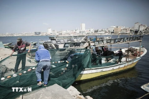 Ngư dân Palestine đánh bắt cá tại Dải Gaza. (Nguồn: AFP/TTXVN)