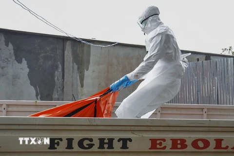 Nhân viên y tế chuyển thi thể một nạn nhân chết do nhiễm virus Ebola tại Monrovia, Liberia ngày 13/10/2014. (Nguồn: EPA/TTXVN)