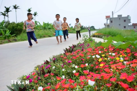 Trẻ em xã Hải Đông, huyện Hải Hậu, Nam Định vui chơi trên con đường làng xanh - sạch - đẹp. (Ảnh: Công Luật/TTXVN)