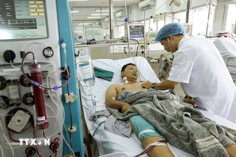 Bệnh viện Bạch Mai đang cấp cứu điều trị cho bệnh nhân trong sự cố y khoa khi đang chạy thận nhân tạo tại Bệnh viện đa khoa tỉnh Hòa Bình. (Ảnh: Dương Ngọc/TTXVN)