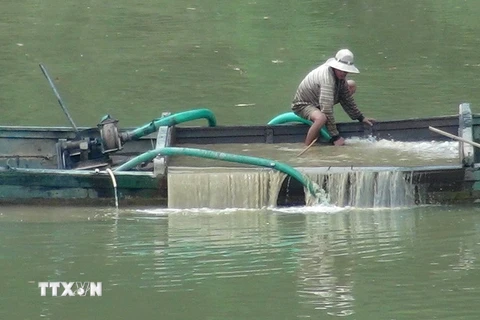  Khai thác cát trái phép trên sông Cái đoạn qua huyện Diên Khánh. (Ảnh: Nguyên Lý/TTXVN)