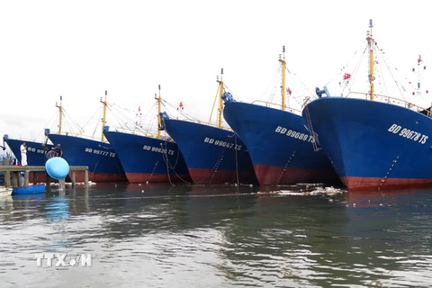 Các tàu vỏ thép được đóng mới bàn giao cho ngư dân đang neo đậu tại cảng Tam Quan, Hoài Nhơn, Bình Định. (Ảnh: Viết Ý/TTXVN)