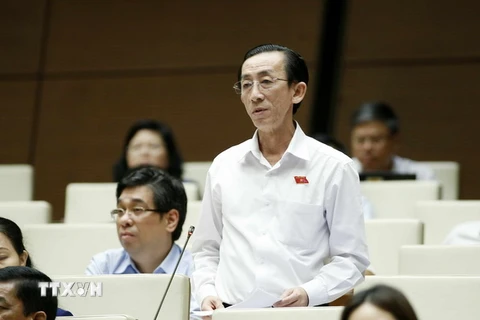 Đại biểu Quốc hội Thành phố Hồ Chí Minh Trần Hoàng Ngân phát biểu ý kiến. (Ảnh: Văn Điệp/TTXVN)